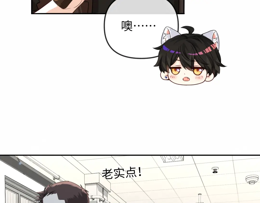 人鱼陷落 第188话 探视 第73页