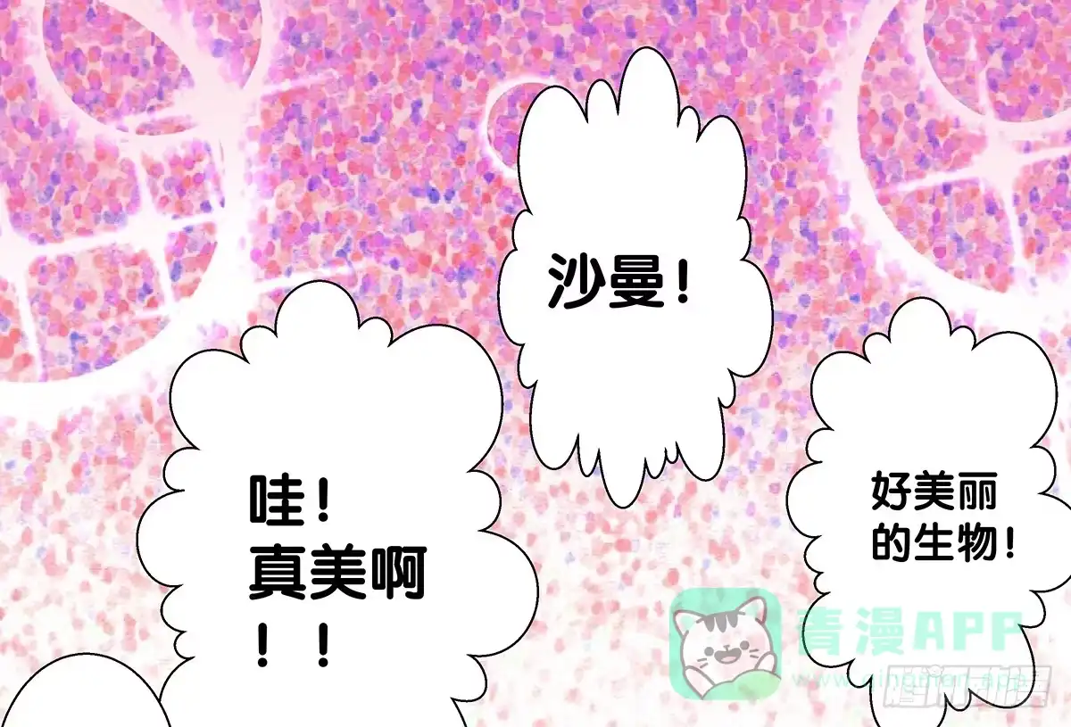 《人鱼之泪》真实身份 第36页