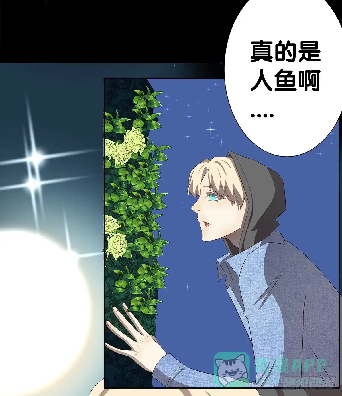 《人鱼之泪》真实身份 第61页