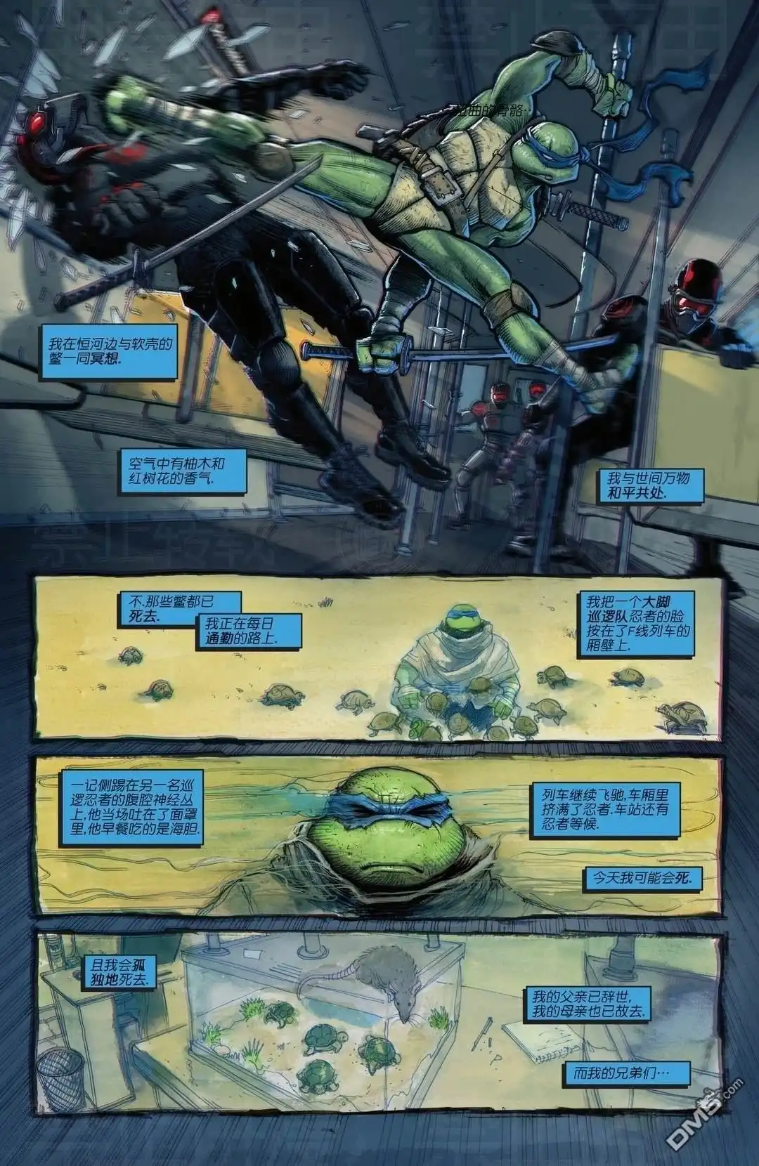 《忍者神龟v6》主线刊08 第3页