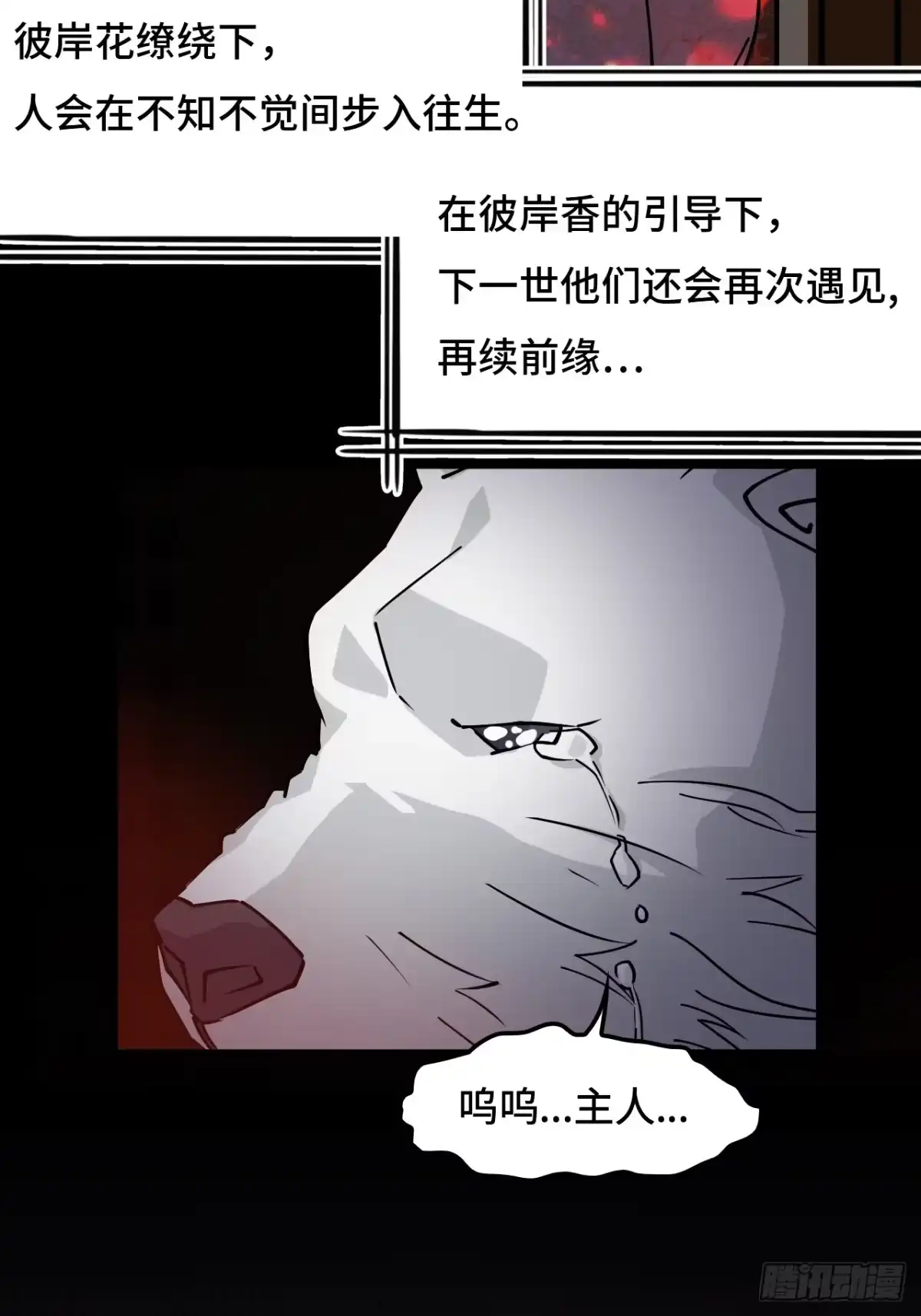 《仁者无敌之龙战在野》59彼岸香 第20页