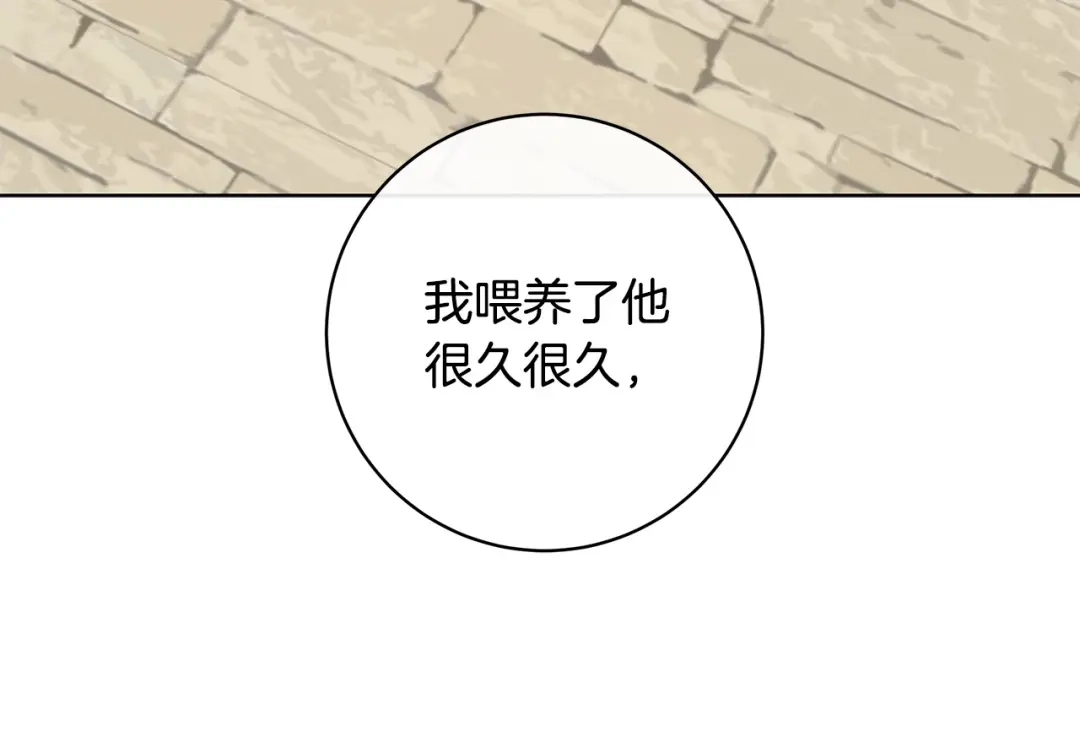 《日蚀之刻》第66话 再次变装 第29页