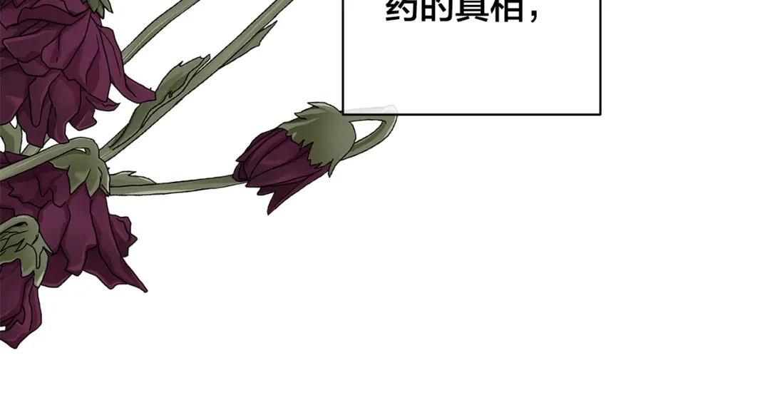 《日蚀之刻》第84话 他比皇位重要 第49页