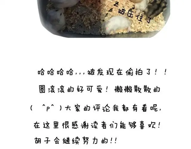 《软绵绵の日常》第11话 许愿池 第28页
