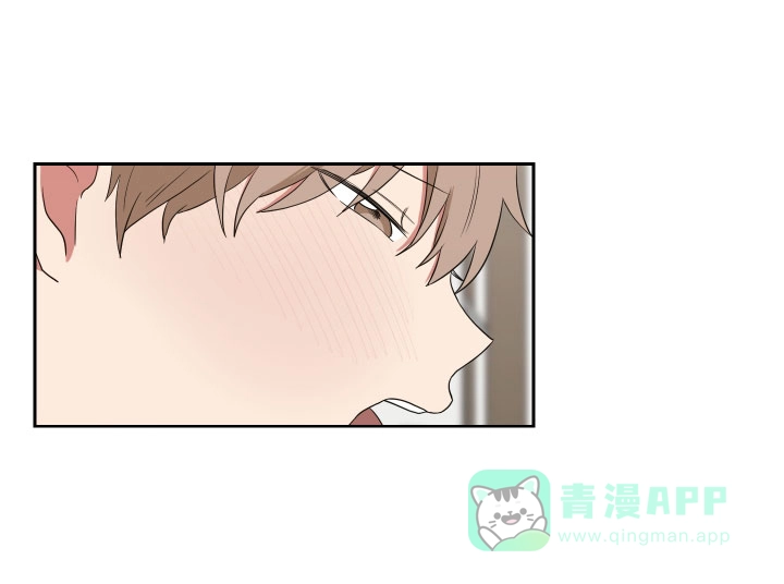 《如果和黑帮老大恋爱的话》第44话 第11页