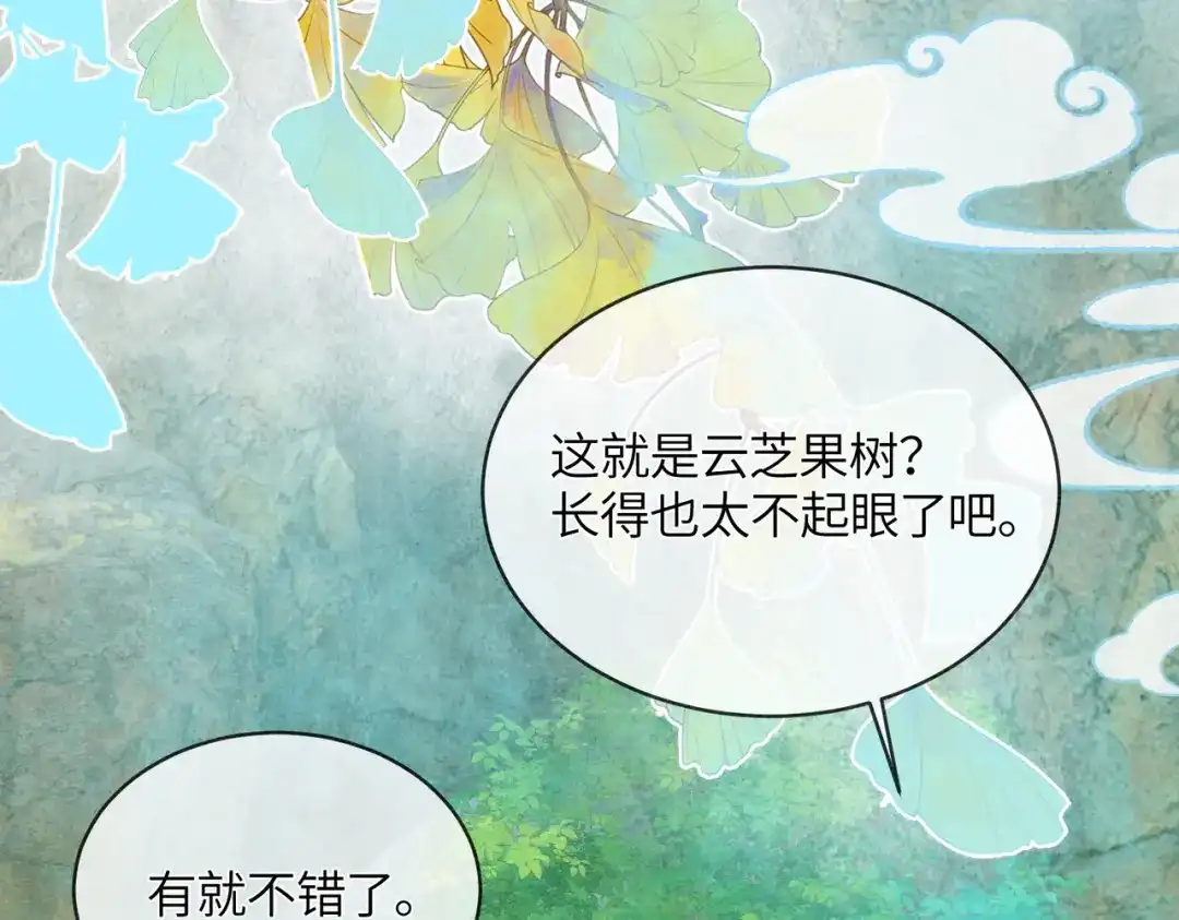 《入海》第15话 云芝果 第29页