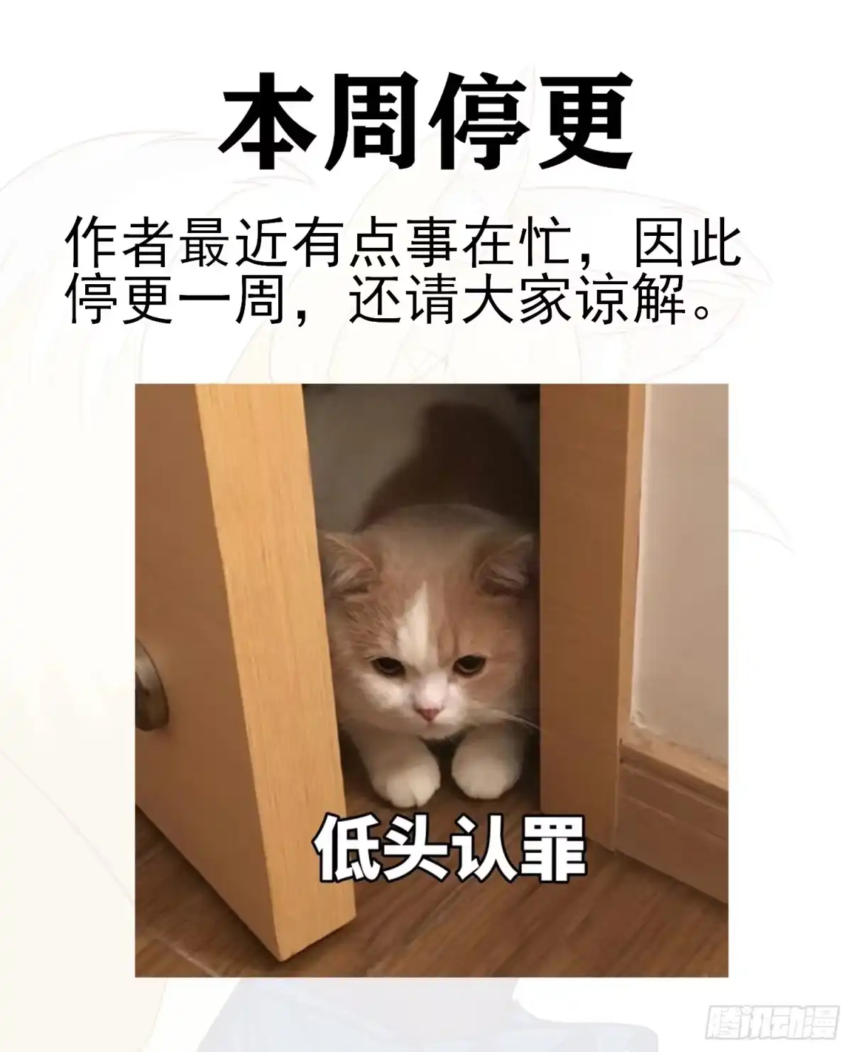 《赛博黄袍怪想洞房花烛》本周停更 第1页