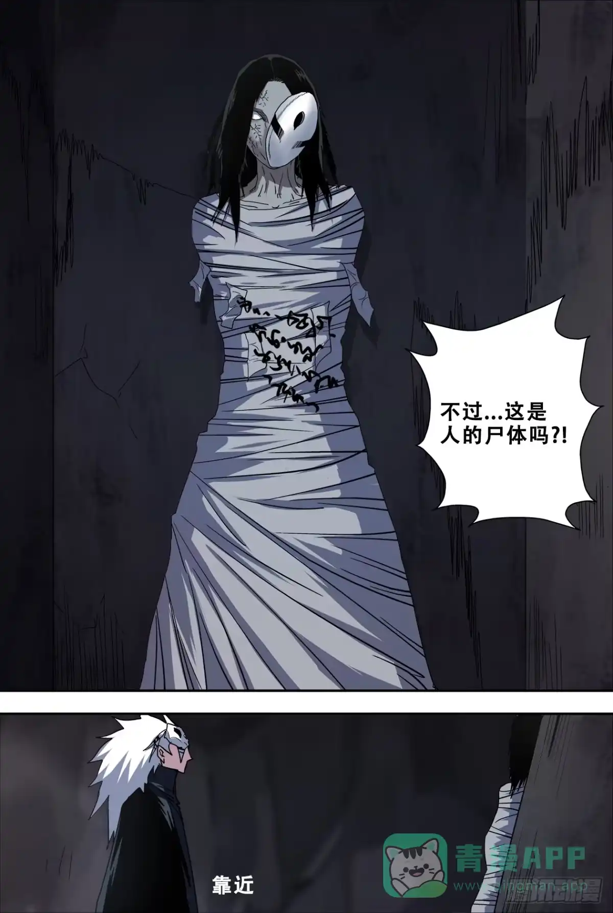 《萨满秘事》48石棺 第11页