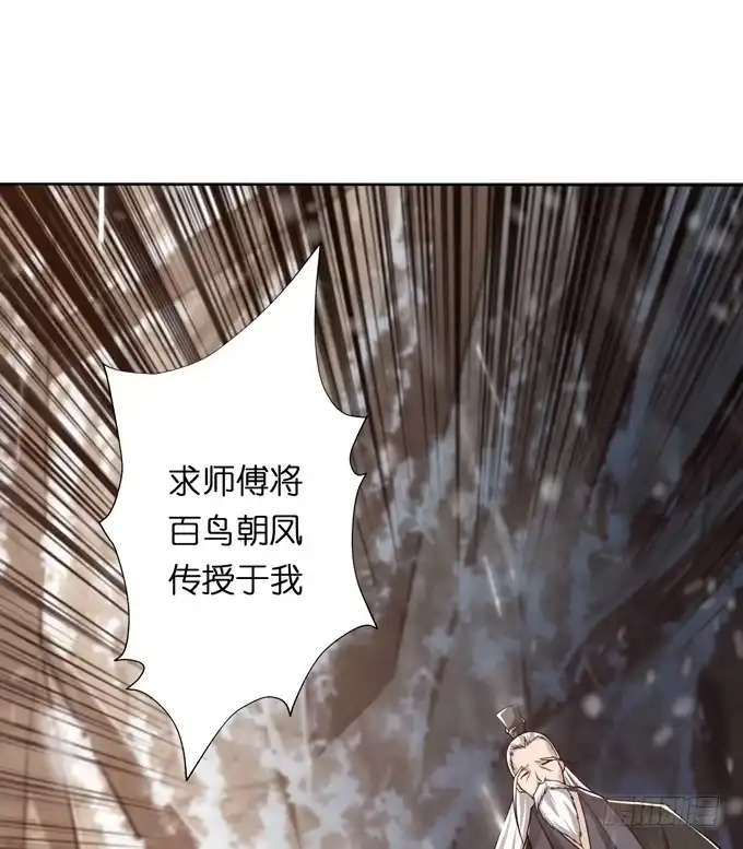 《三国之云起龙骧》百鸟朝凤 第8页