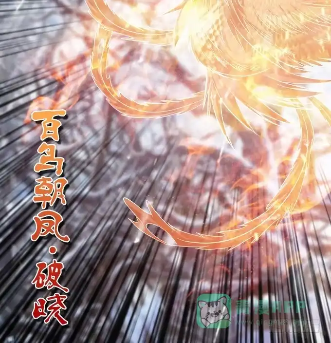 《三国之云起龙骧》百鸟朝凤 第51页