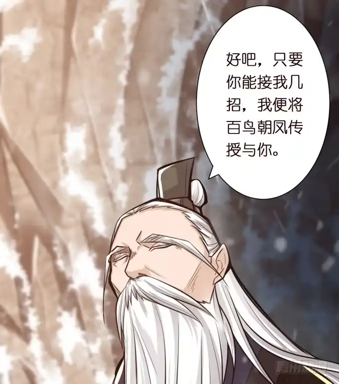 《三国之云起龙骧》百鸟朝凤 第13页