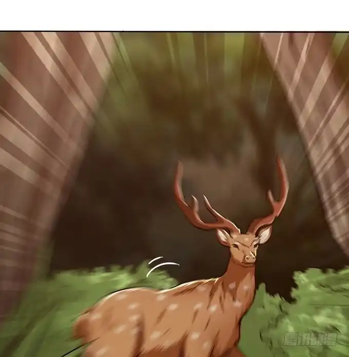 《三国之云起龙骧》楚魂 第24页