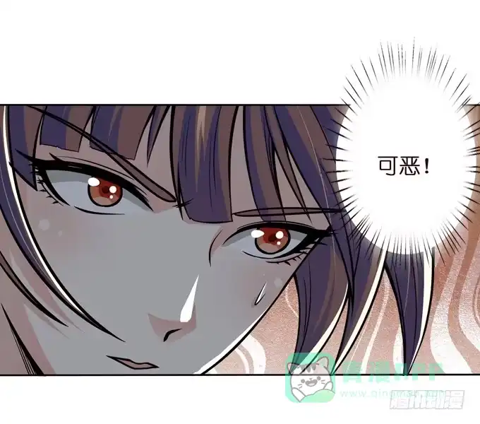 《三国之云起龙骧》护身符 第41页
