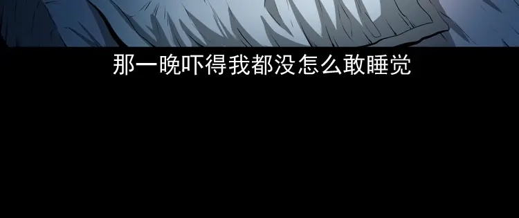 《三老爷诡事会》失踪的邻居 第59页