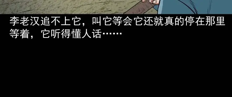 《三老爷诡事会》狗 第67页