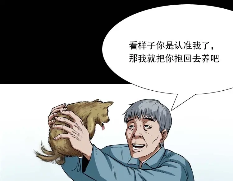 《三老爷诡事会》狗 第52页
