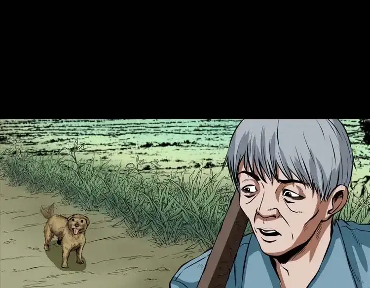 《三老爷诡事会》狗 第48页