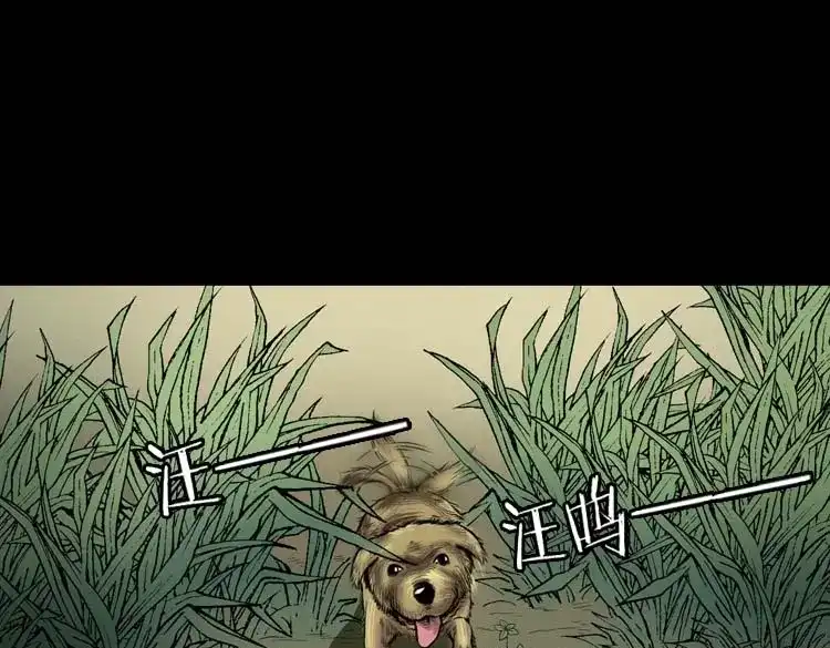 《三老爷诡事会》狗 第38页