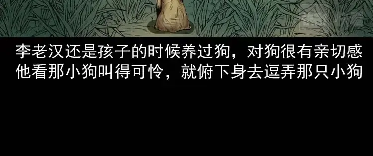 《三老爷诡事会》狗 第41页