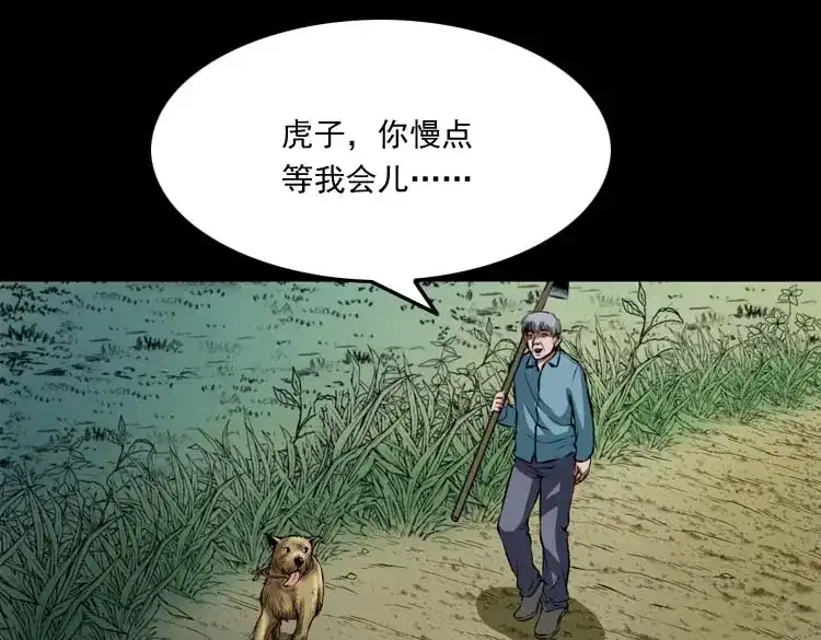 《三老爷诡事会》狗 第64页