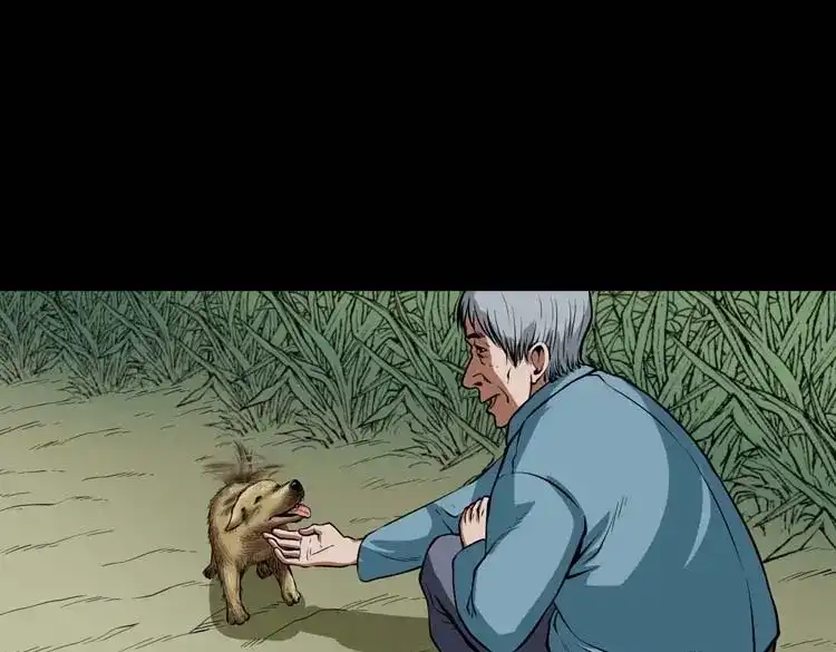 《三老爷诡事会》狗 第42页