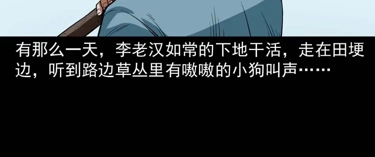 《三老爷诡事会》狗 第37页