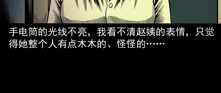 《三老爷诡事会》寻女 第97页