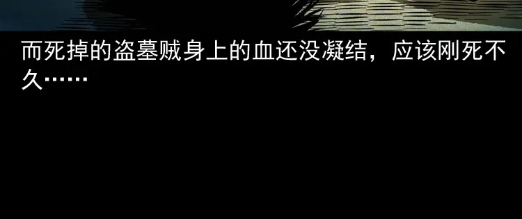 《三老爷诡事会》将军坟 第47页