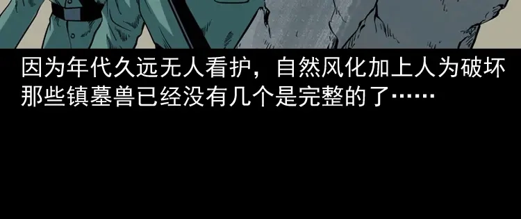 《三老爷诡事会》将军坟 第11页