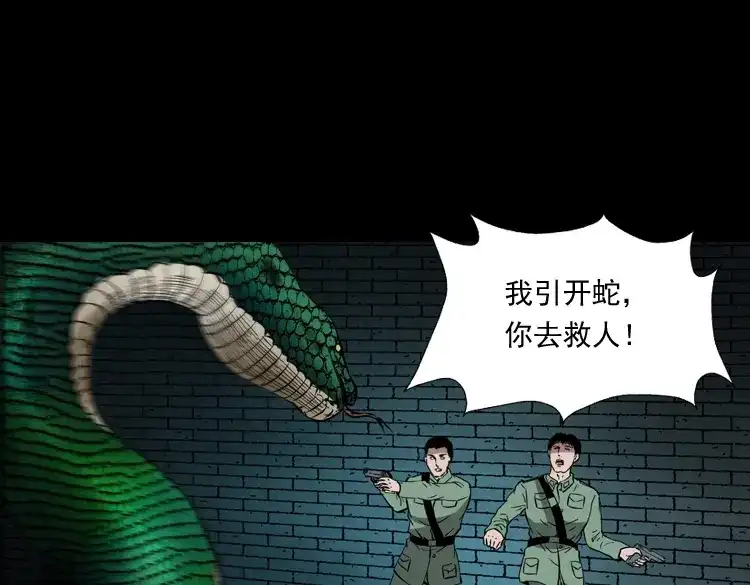 《三老爷诡事会》失踪案 第100页