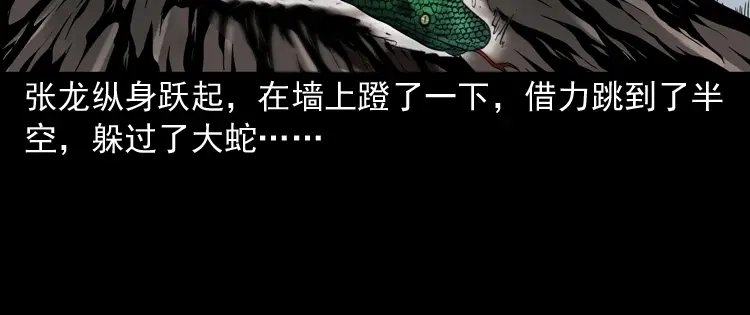 《三老爷诡事会》失踪案 第117页