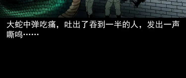 《三老爷诡事会》失踪案 第95页