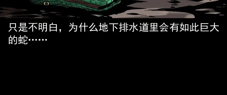 《三老爷诡事会》失踪案 第157页