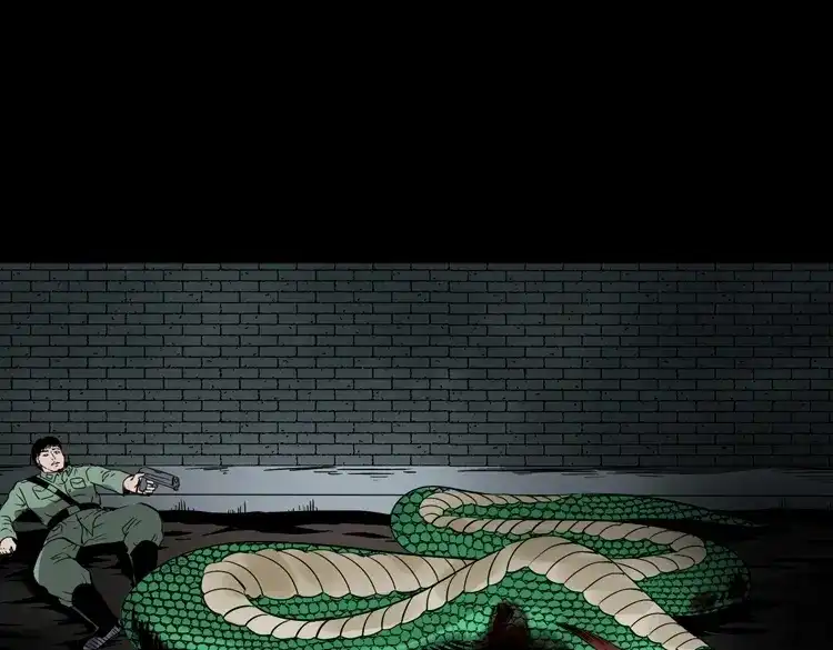 《三老爷诡事会》失踪案 第148页