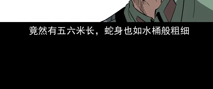 《三老爷诡事会》失踪案 第155页