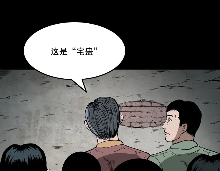 《三老爷诡事会》宅蛊 第92页