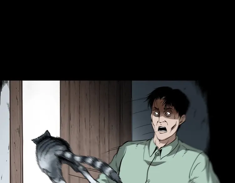 《三老爷诡事会》猫老太事件 第51页
