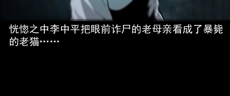 《三老爷诡事会》猫老太事件 第96页