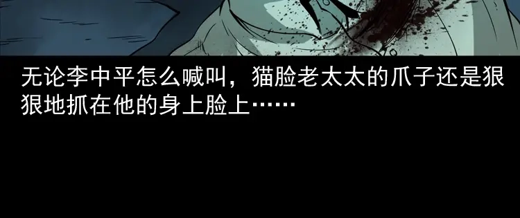《三老爷诡事会》猫老太事件 第94页