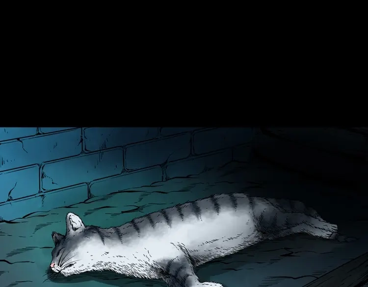《三老爷诡事会》猫老太事件 第65页