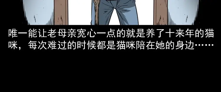《三老爷诡事会》猫老太事件 第40页