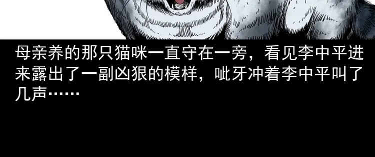 《三老爷诡事会》猫老太事件 第50页