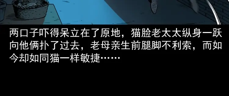 《三老爷诡事会》猫老太事件 第84页