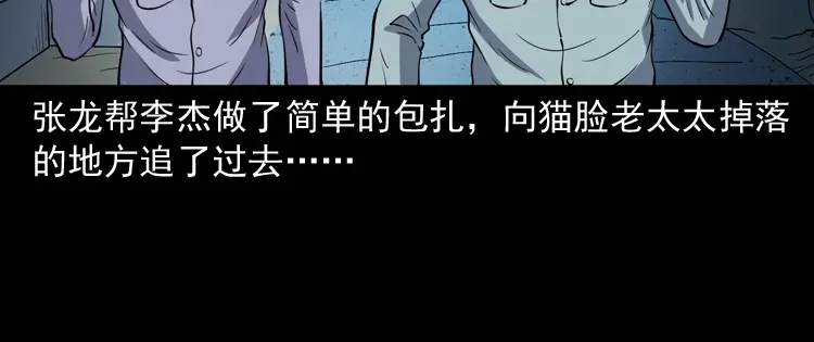 《三老爷诡事会》猫老太事件 第184页