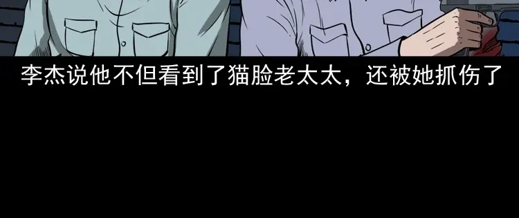 《三老爷诡事会》猫老太事件 第164页