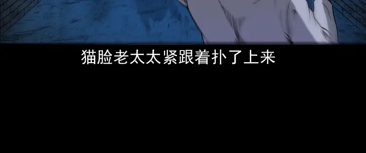 《三老爷诡事会》猫老太事件 第176页