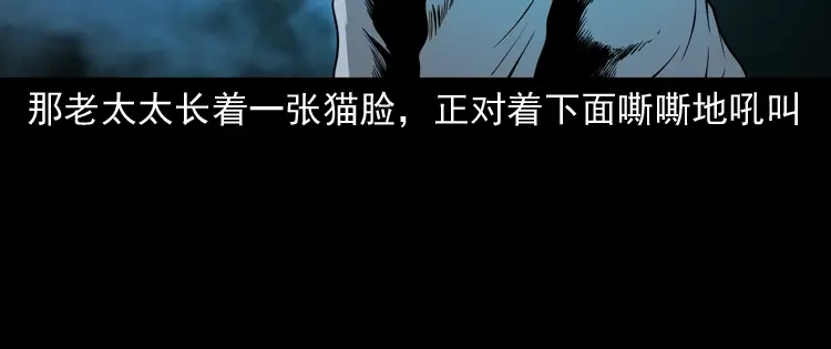 《三老爷诡事会》猫老太事件 第126页