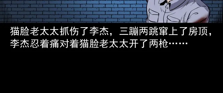 《三老爷诡事会》猫老太事件 第180页
