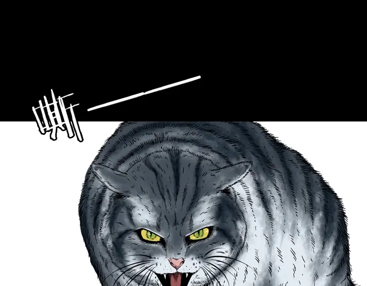 《三老爷诡事会》猫老太事件 第49页