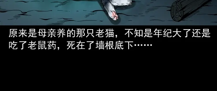 《三老爷诡事会》猫老太事件 第66页